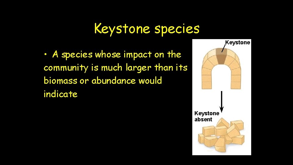 Keystone species Keystone • A species whose impact on the community is much larger