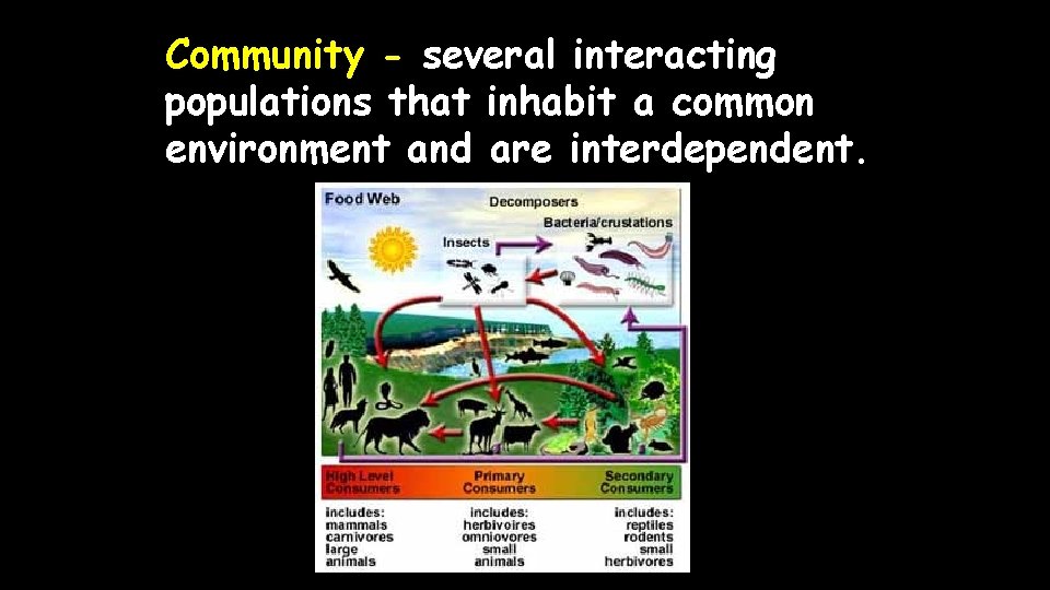 Community - several interacting populations that inhabit a common environment and are interdependent. 