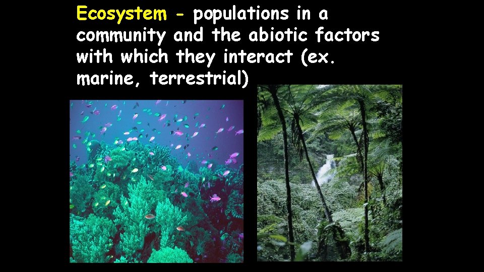 Ecosystem - populations in a community and the abiotic factors with which they interact