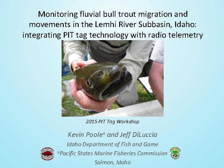 Monitoring fluvial bull trout migration and movements in the Lemhi River Subbasin, Idaho: integrating
