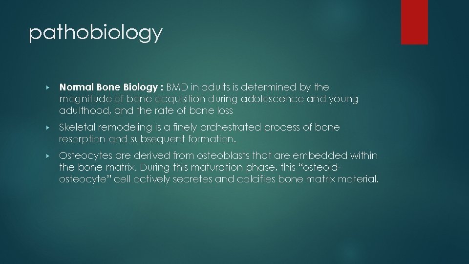 pathobiology ▶ Normal Bone Biology : BMD in adults is determined by the magnitude