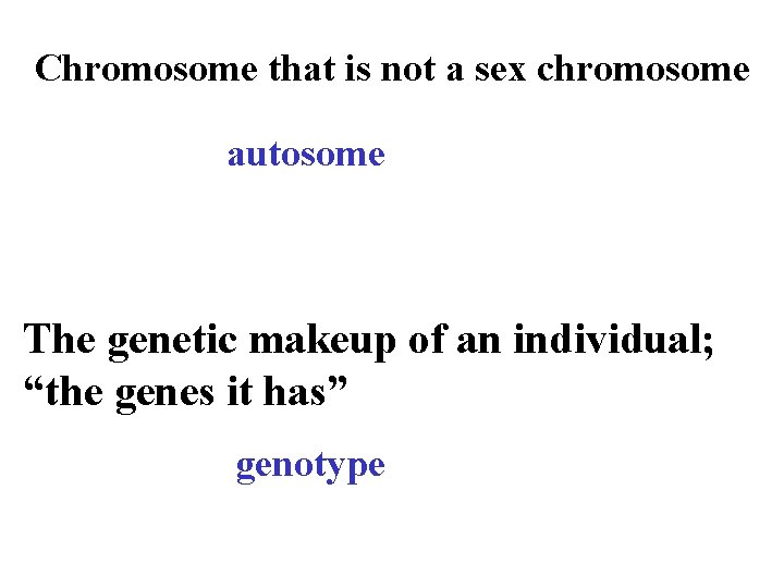 Chromosome that is not a sex chromosome autosome The genetic makeup of an individual;