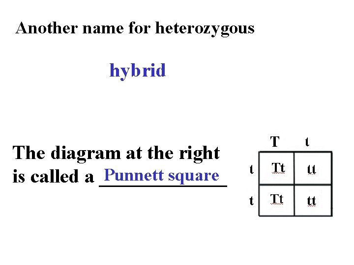Another name for heterozygous hybrid The diagram at the right Punnett square is called