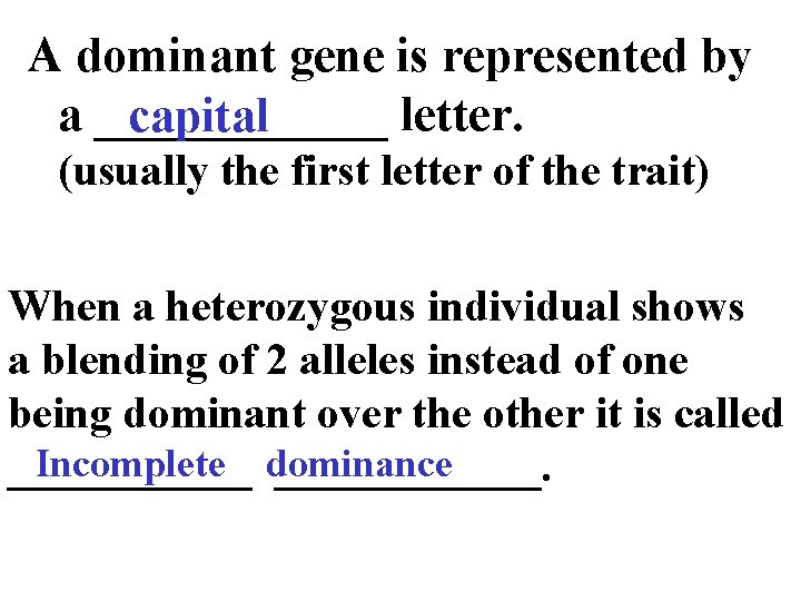 A dominant gene is represented by a ______ letter. capital (usually the first letter