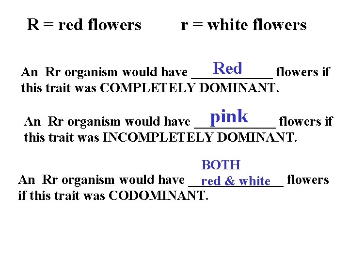R = red flowers r = white flowers Red An Rr organism would have