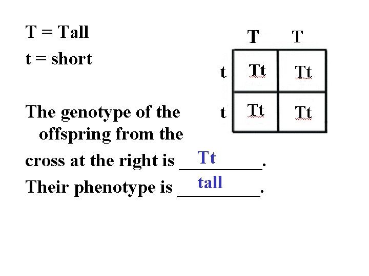 T = Tall t = short The genotype of the offspring from the Tt
