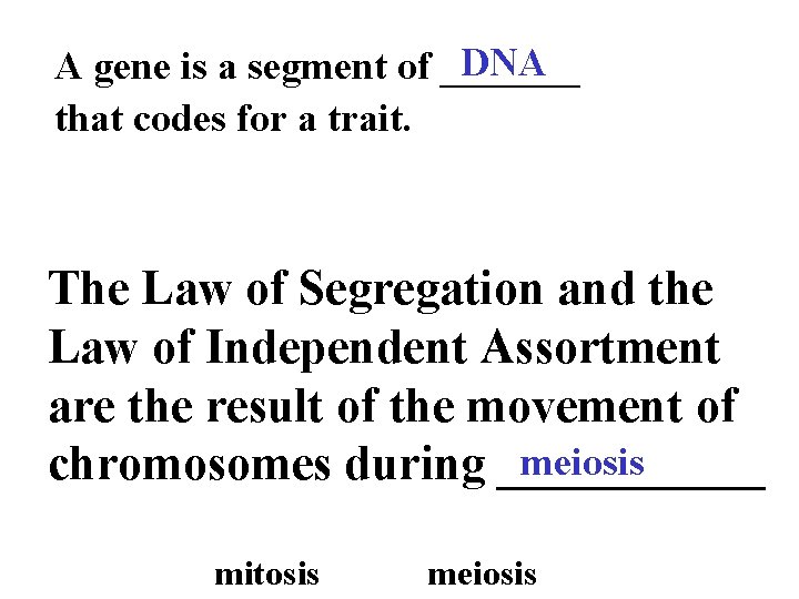 DNA A gene is a segment of _______ that codes for a trait. The