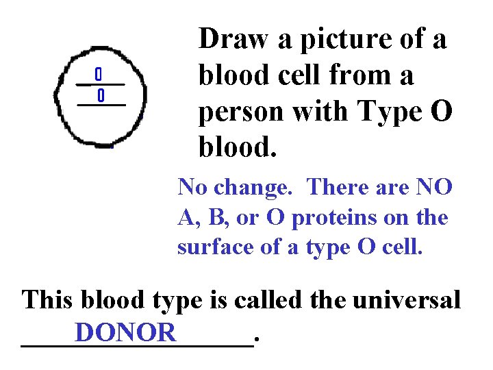 Draw a picture of a blood cell from a person with Type O blood.