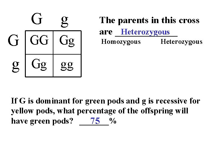 G g G GG Gg gg The parents in this cross Heterozygous are _______