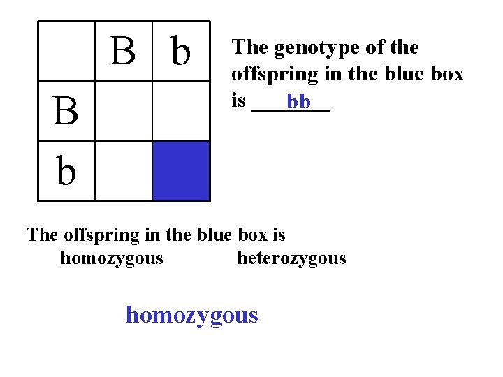 B b The genotype of the offspring in the blue box is _______ bb
