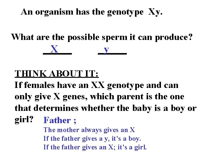 An organism has the genotype Xy. What are the possible sperm it can produce?