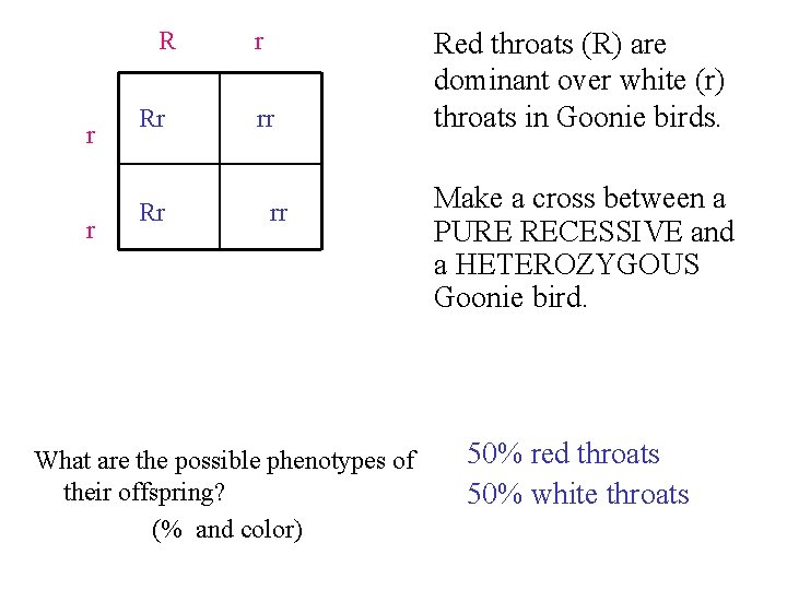 R r r Rr Rr r rr rr What are the possible phenotypes of