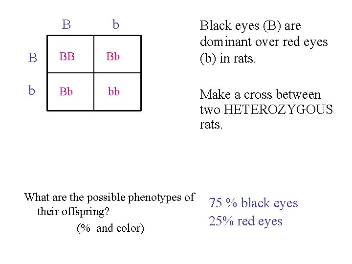 B b B BB Bb bb What are the possible phenotypes of their offspring?