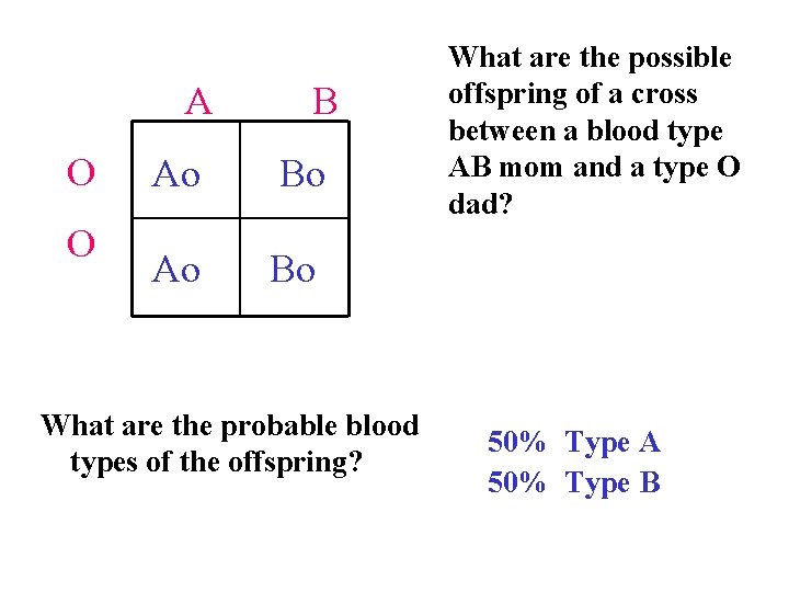 A O O B Ao Bo What are the probable blood types of the