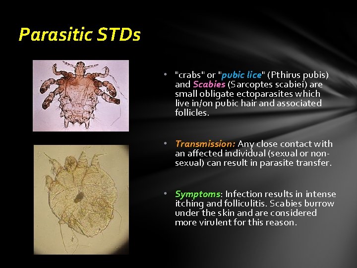 Parasitic STDs • "crabs" or "pubic lice" (Pthirus pubis) and Scabies (Sarcoptes scabiei) are