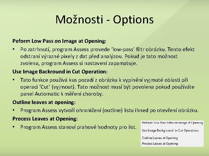 Možnosti - Options Peform Low Pass on Image at Opening: • Po zatrhnutí, program