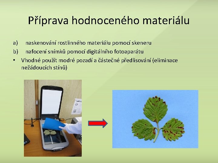 Příprava hodnoceného materiálu a) naskenování rostlinného materiálu pomocí skeneru b) nafocení snímků pomocí digitálního