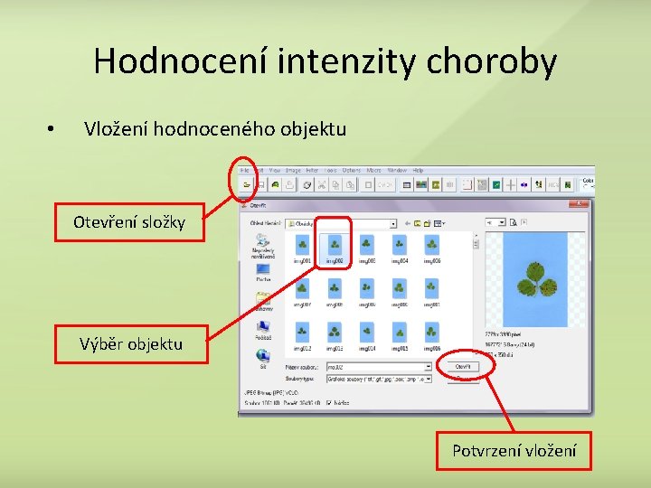 Hodnocení intenzity choroby • Vložení hodnoceného objektu Otevření složky Výběr objektu Potvrzení vložení 