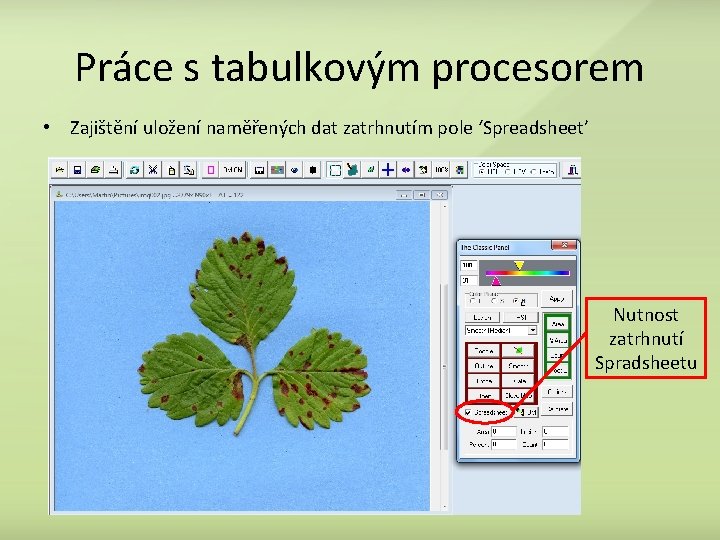 Práce s tabulkovým procesorem • Zajištění uložení naměřených dat zatrhnutím pole ‘Spreadsheet’ Nutnost zatrhnutí