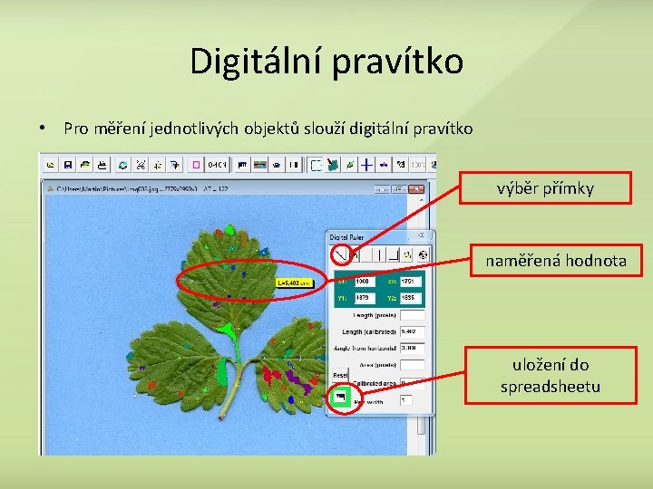 Digitální pravítko • Pro měření jednotlivých objektů slouží digitální pravítko výběr přímky naměřená hodnota