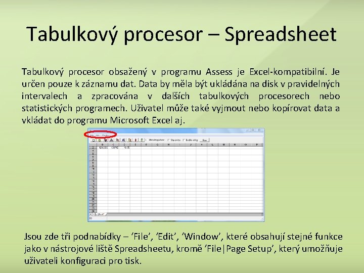 Tabulkový procesor – Spreadsheet Tabulkový procesor obsažený v programu Assess je Excel-kompatibilní. Je určen