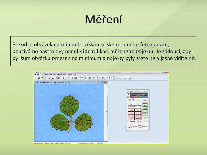 Měření Pokud je obrázek nahrán nebo získán ze skeneru nebo fotoaparátu, používáme nástrojový panel