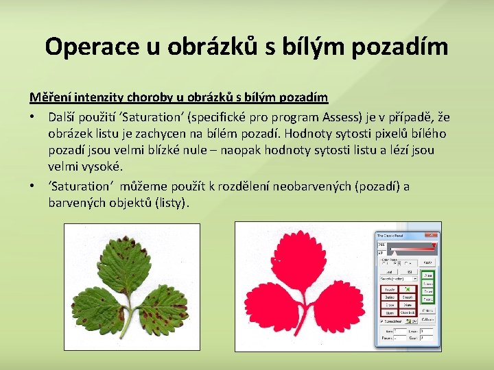 Operace u obrázků s bílým pozadím Měření intenzity choroby u obrázků s bílým pozadím