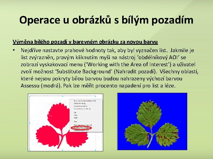 Operace u obrázků s bílým pozadím Výměna bílého pozadí v barevném obrázku za novou