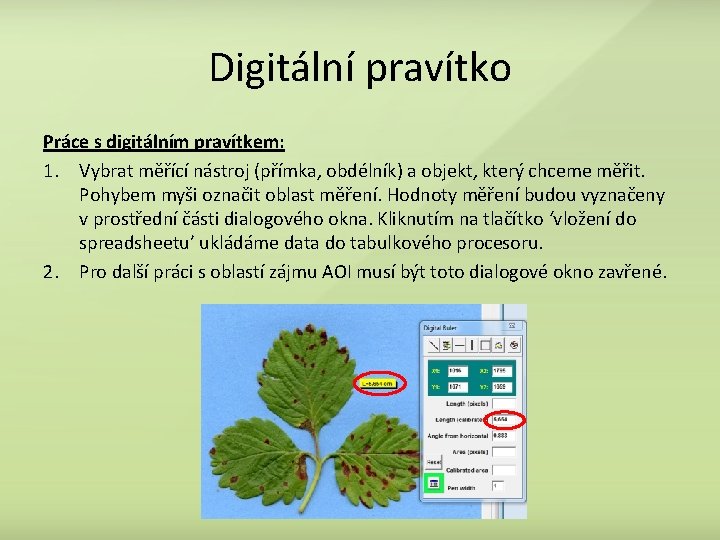 Digitální pravítko Práce s digitálním pravítkem: 1. Vybrat měřící nástroj (přímka, obdélník) a objekt,