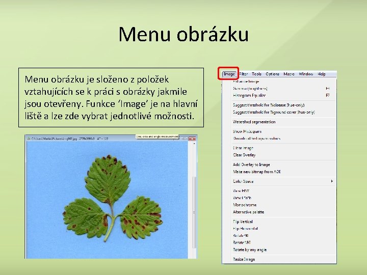 Menu obrázku je složeno z položek vztahujících se k práci s obrázky jakmile jsou