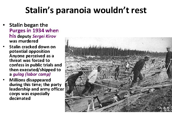 Stalin’s paranoia wouldn’t rest • Stalin began the Purges in 1934 when his deputy