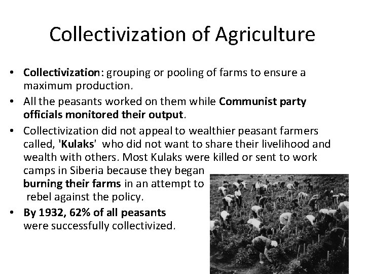 Collectivization of Agriculture • Collectivization: grouping or pooling of farms to ensure a maximum
