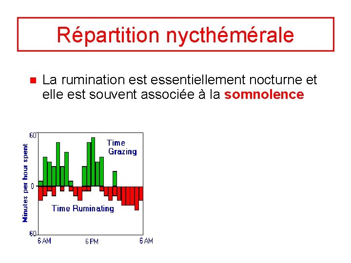 Répartition nycthémérale n La rumination est essentiellement nocturne et elle est souvent associée à