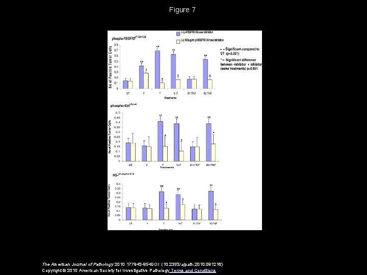 Figure 7 The American Journal of Pathology 2010 177943 -954 DOI: (10. 2353/ajpath. 2010.