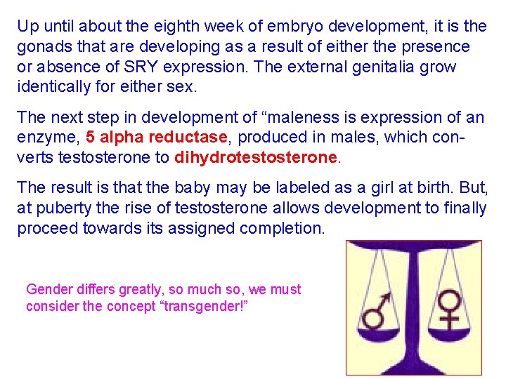 Up until about the eighth week of embryo development, it is the gonads that
