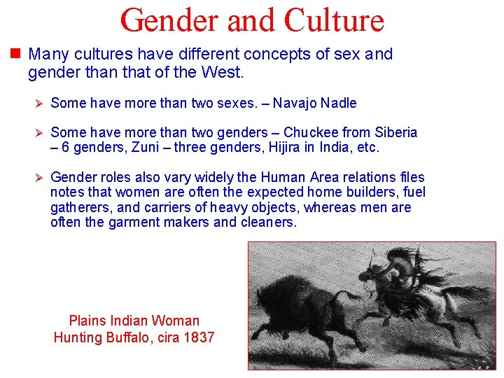 Gender and Culture n Many cultures have different concepts of sex and gender than