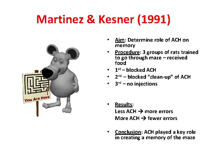 Martinez & Kesner (1991) • Aim: Determine role of ACH on memory • Procedure: