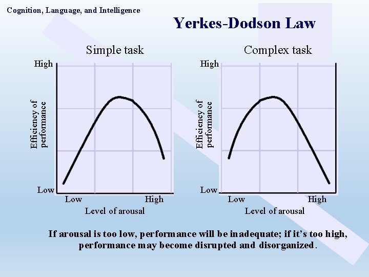 Cognition, Language, and Intelligence Yerkes-Dodson Law Simple task High Efficiency of performance High Complex