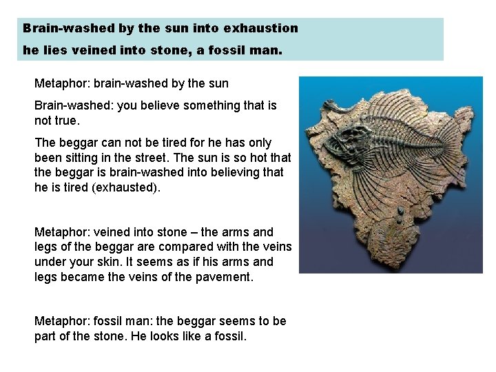 Brain-washed by the sun into exhaustion he lies veined into stone, a fossil man.