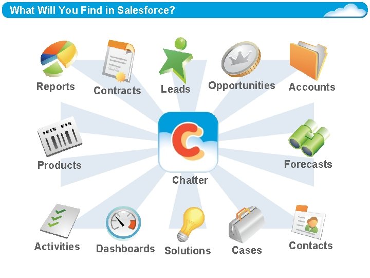 What Will You Find in Salesforce? Reports Contracts Leads Opportunities Accounts Forecasts Products Chatter