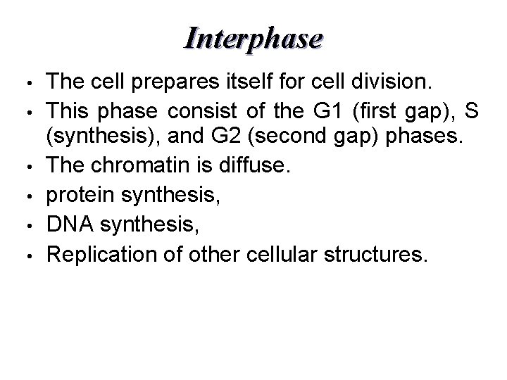 Interphase • • • The cell prepares itself for cell division. This phase consist