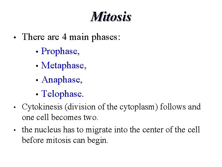 Mitosis • There are 4 main phases: • Prophase, • Metaphase, • Anaphase, •