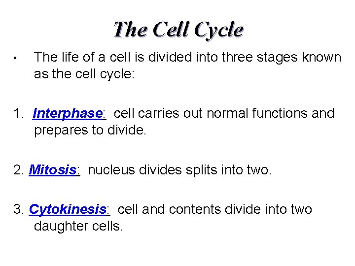 The Cell Cycle • The life of a cell is divided into three stages