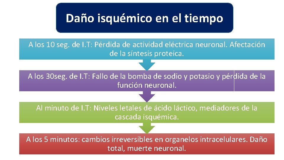 Daño isquémico en el tiempo A los 10 seg. de I. T: Pérdida de Daño isquémico en el tiempo A los 10 seg. de I. T: Pérdida de