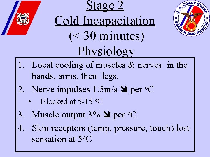 Stage 2 Cold Incapacitation (< 30 minutes) Physiology 1. Local cooling of muscles &
