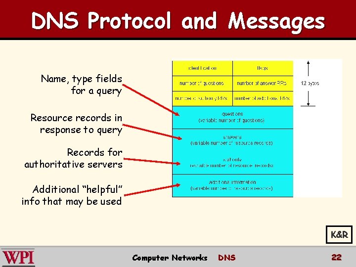 DNS Protocol and Messages Name, type fields for a query Resource records in response