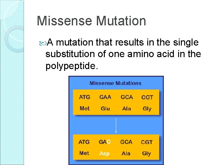 Missense Mutation A mutation that results in the single substitution of one amino acid Missense Mutation A mutation that results in the single substitution of one amino acid
