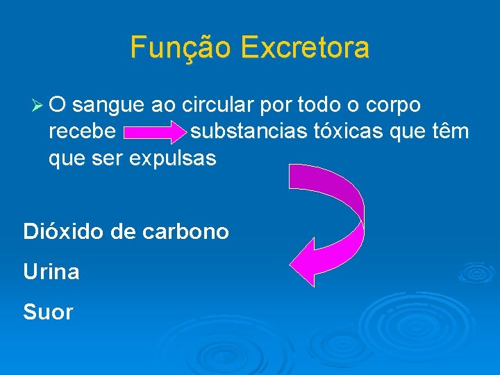 Função Excretora Ø O sangue ao circular por todo o corpo recebe substancias tóxicas