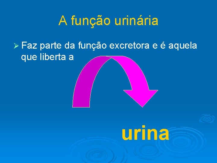 A função urinária Ø Faz parte da função excretora e é aquela que liberta