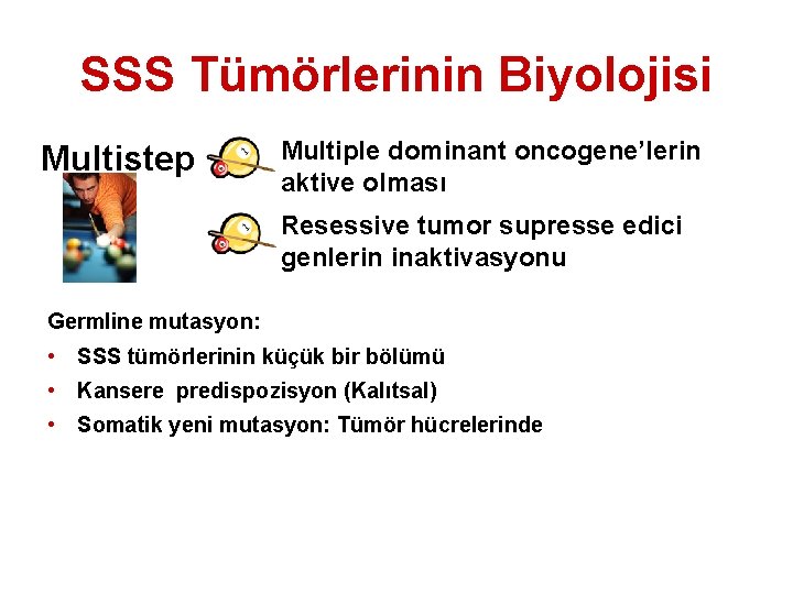 SSS Tümörlerinin Biyolojisi Multistep Multiple dominant oncogene’lerin aktive olması Resessive tumor supresse edici genlerin